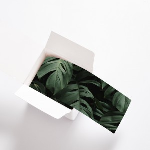 Surplinthes Adhésives déco imprimé Feuilles