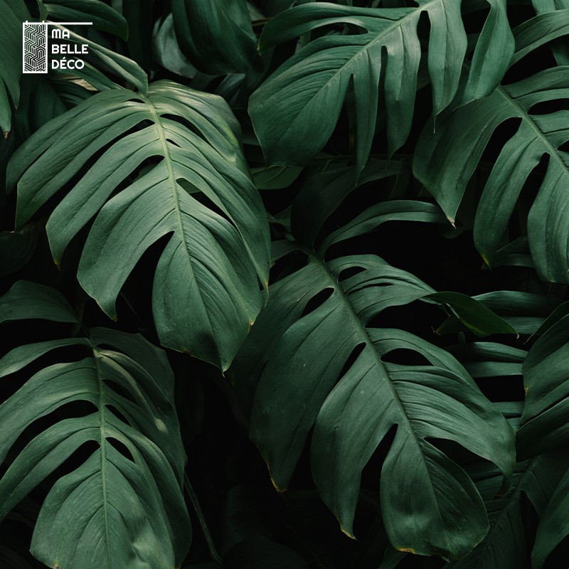 Tapis de décoration en pvc imprimé Feuilles