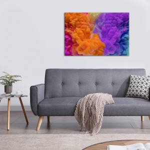 Tableau en toile déco intérieur murale Fumée coloré explosion couleur